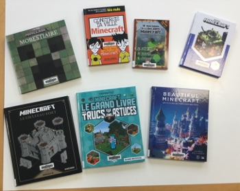 Selection De Livres Sur Minecraft